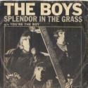 Boys, The Splendor In T...